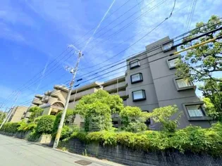 アンデュノール千里の画像