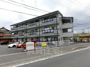 ホワイトレークの画像