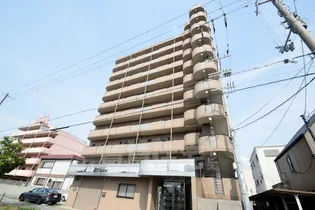 レインボーコートパート1の画像