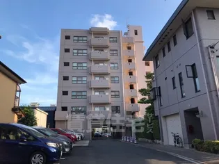 グレース川村の画像