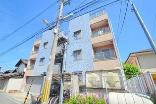 オプーノの画像