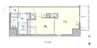 SK BUILDING-901【7階】の間取り