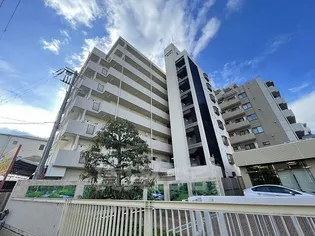 アニバーサリー40THの画像