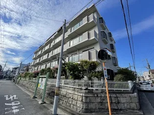 グレース千鳥の画像