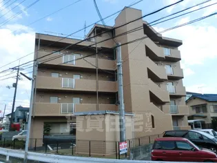 ヒルズイッセイの画像