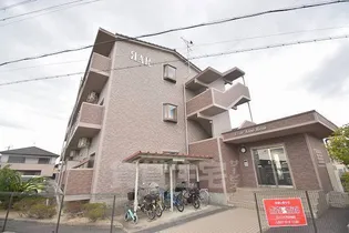 RIVER ANNE RENAの画像