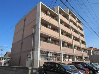 サンリット パイン ニードルの画像