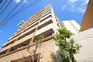 エクセレント上新15の画像