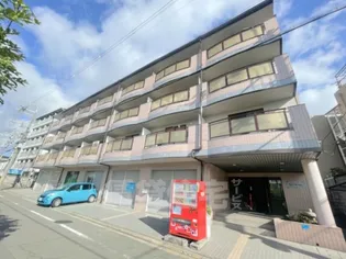 ポインセチアの画像