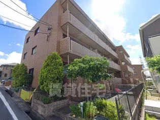 グリーンアッピアの画像