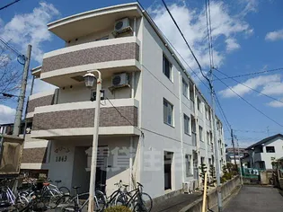 マリーブの画像