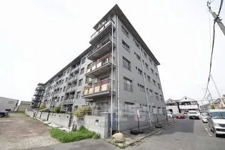 PALMIZIO瓢箪山の画像