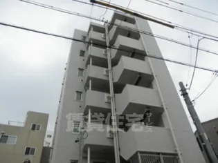 The Sengen Terrace【4階】の外観