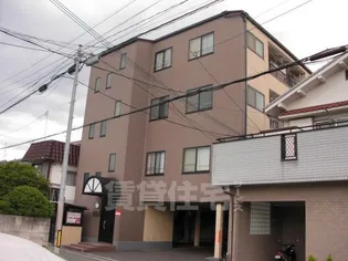 メゾン・ド・リーブ【2階】の外観