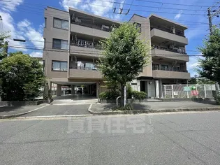 グローリヤ牧野の画像