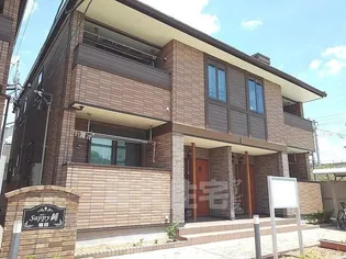 サピー純 Ⅱの画像