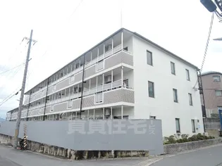 京都府京都市伏見区深草大亀谷大山町【マンション】の外観