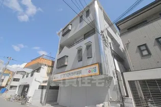 バッカスY&Tの画像