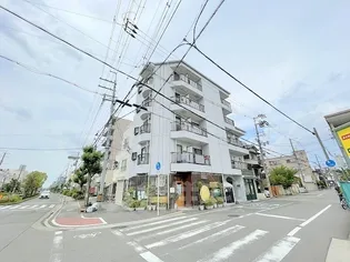 ホワイトインの画像