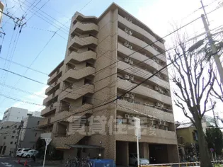 ライジングヴィラ葵【8階】の外観