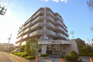 ベルヴェデーレの画像