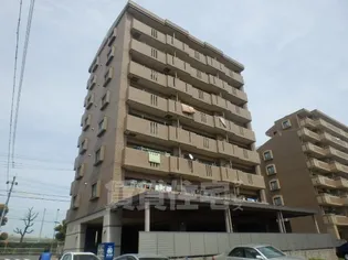 カーサ ボニータの画像