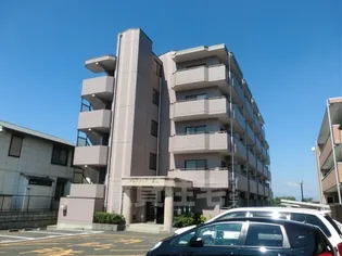 アルカディア堂山【307号室】の外観