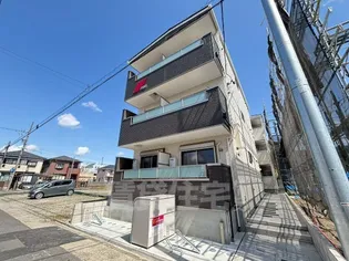 F ASECIA NESSAの画像