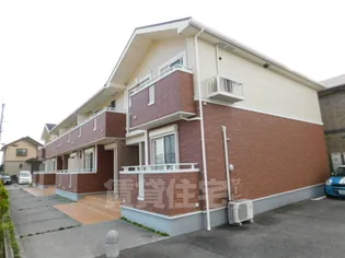 フィセルの画像