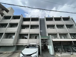 ボッロリーノの画像