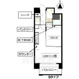 ANGELINA【9階】の間取り