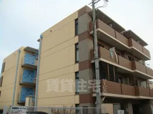 エクセレントコートの画像