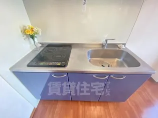 サウスサイド武庫之荘【3階】のキッチン