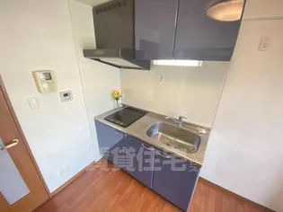 サウスサイド武庫之荘【3階】のキッチン