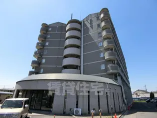 ハミングウインドの画像