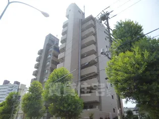 シーナリー瑞穂の画像