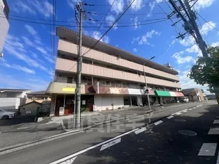 大阪府堺市中区小阪【マンション】の外観