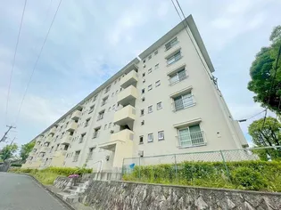 金剛第三住宅224棟【4階】の外観