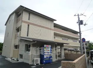 ホワイトハイムKAGAMIISHI【1階】の外観