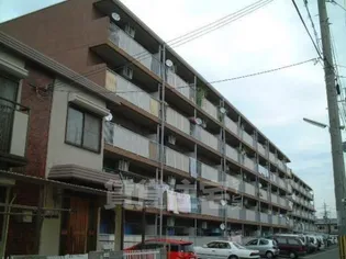 嵯峨野ハイツ【2階】の外観