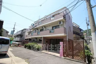 マーシモラール宮本の画像