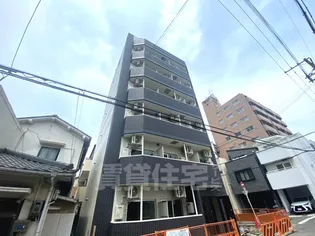 EIJU TSUKAMOTOの画像