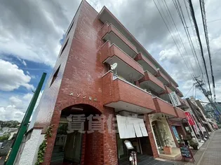 メゾン猫洞の画像