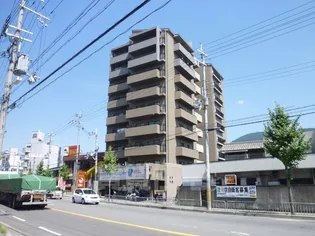 サン ユーIIの画像