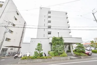 アイランド小野山の画像