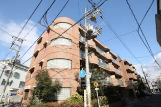 シロハイヌ姫里2の画像