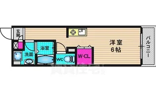 メゾンかしの木【101号室】の間取り