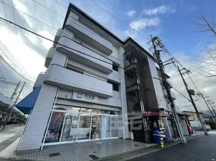 グレース桂の画像