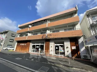 京都府京都市西京区嵐山朝月町【マンション】の外観