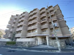 サン フローラの画像